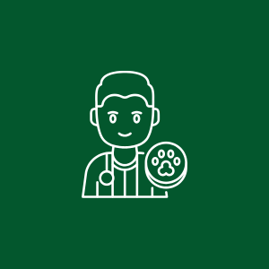 Veterinary Student Externships